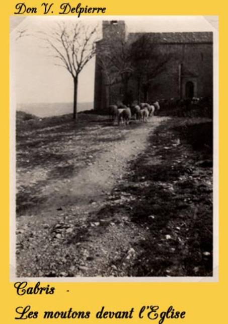 120 Cabris � Les moutons devant l'�glise