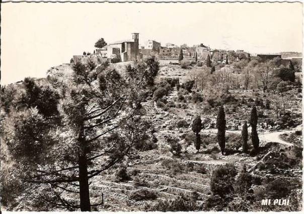 04 � Cabris  1796  -  Vue g�n�rale � travers les ch�nes �